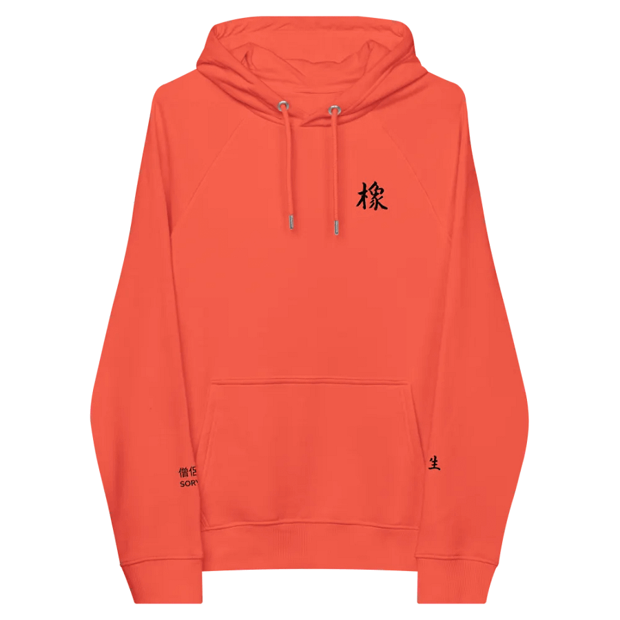 SORYO-X - Eco-Friendly Unisex Raglan Hoodie product image (4)