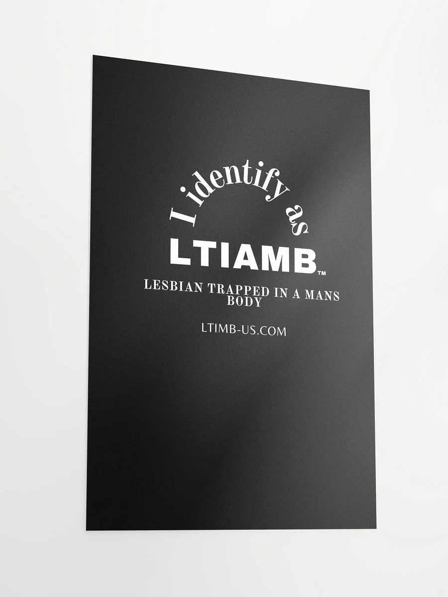 LTIAMB posters product image (3)