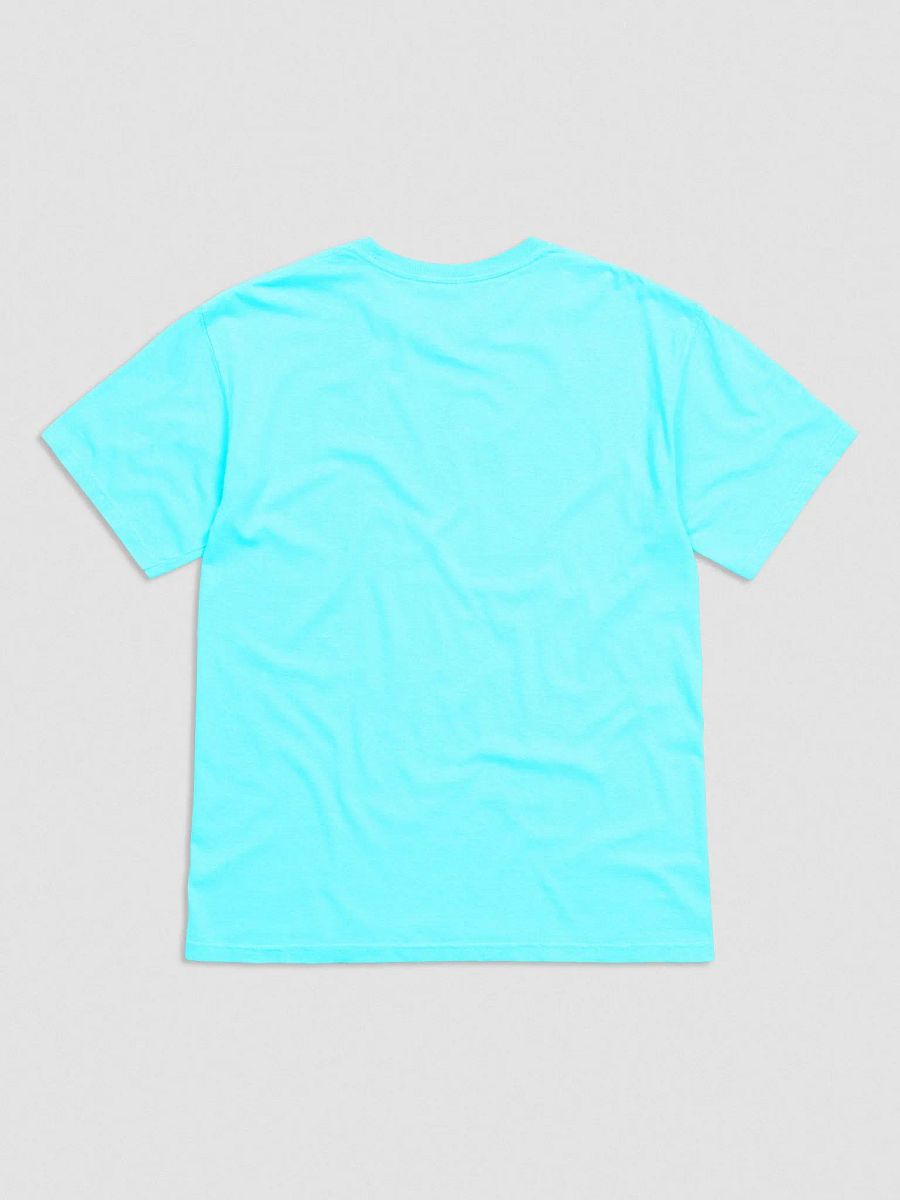 Comfort Colors Garment-Dyed Heavyweight T-Shirt: Exotic Shorthair product image (19)