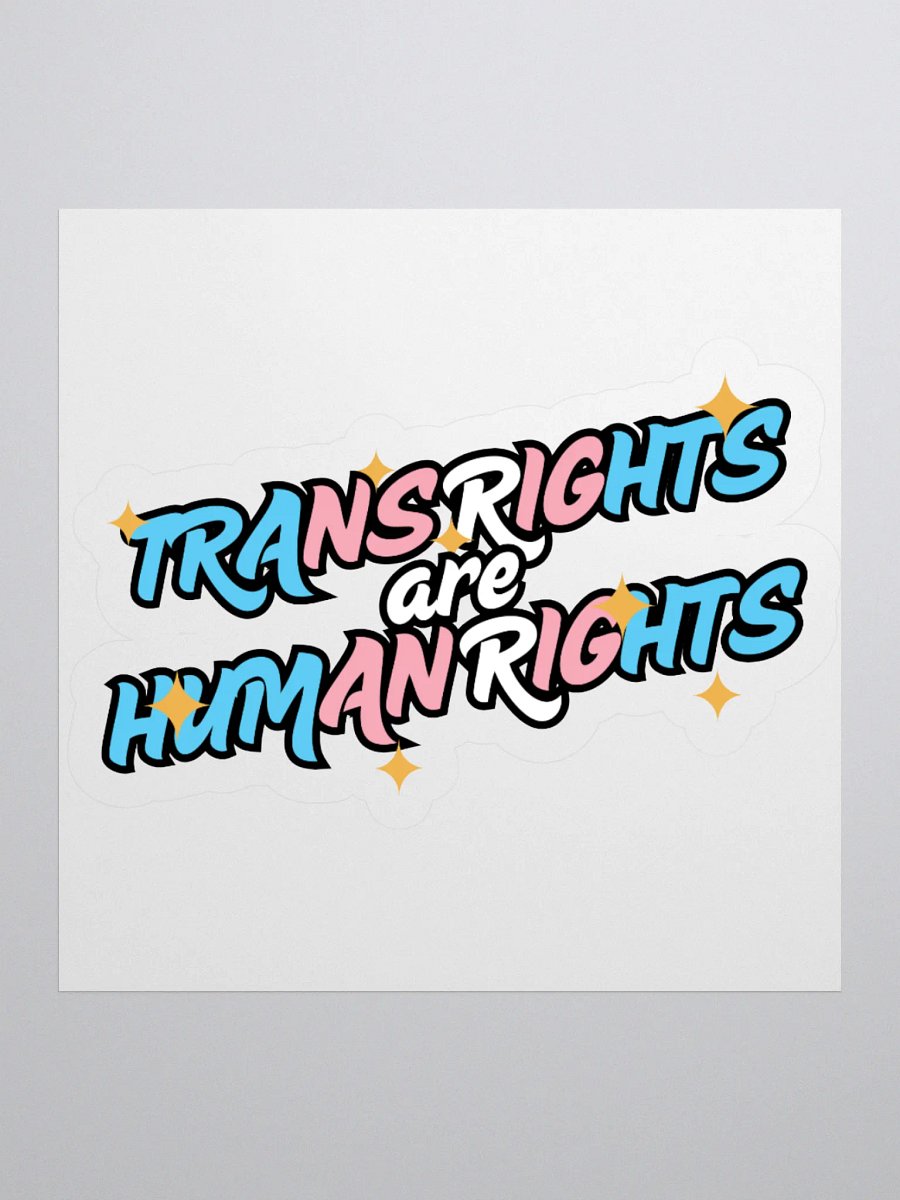TRANS RIGHTS ARE HUMAN RIGHTS Sticker product image (3)