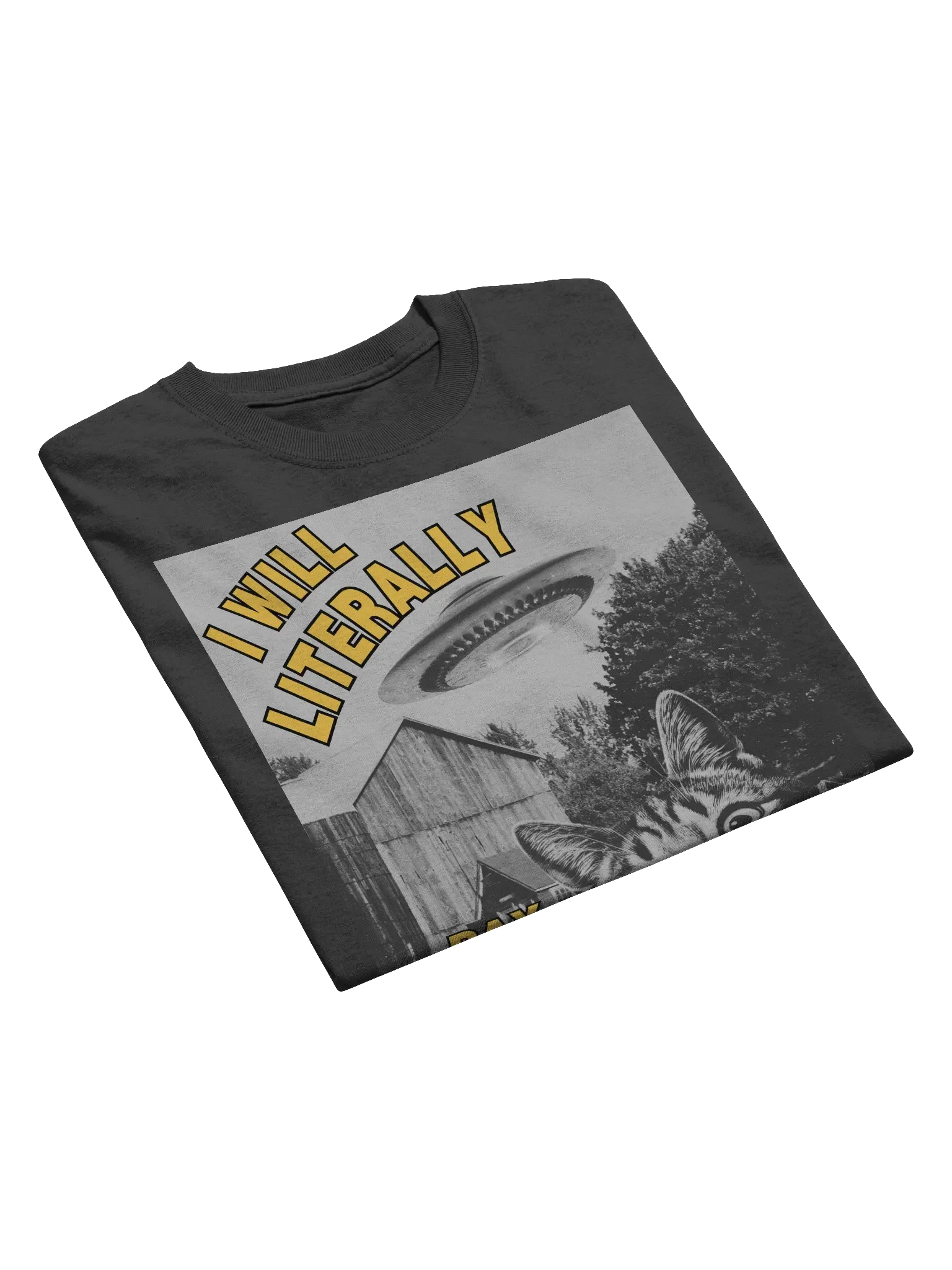 I Will Literally Pay You To Abduct Me T-Shirt product image (5)