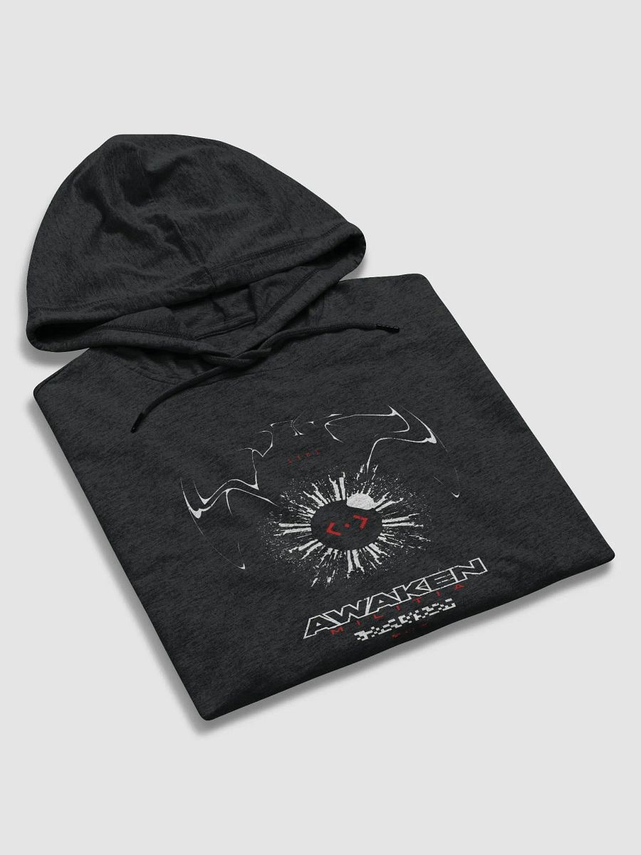 {AWKN 10} DSTRCT Hoodie - Black product image (5)