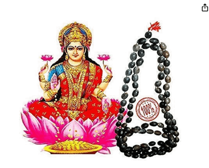 Kamal gatta mal | Rudra Divine Lotus Seed Mala (Dark Brown_8 Mm) product image (3)