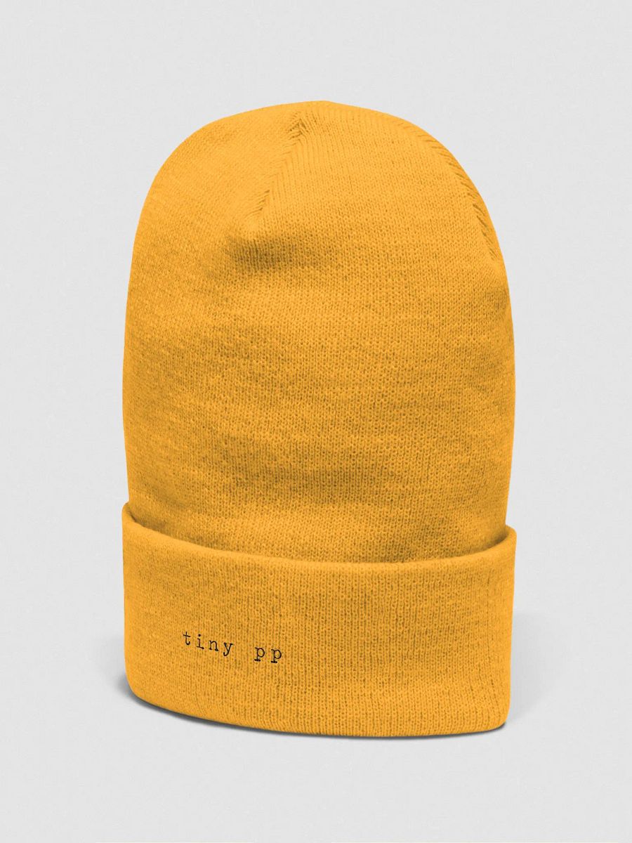 Tiny PP Yupoong Cuffed Beanie (Bright) product image (2)
