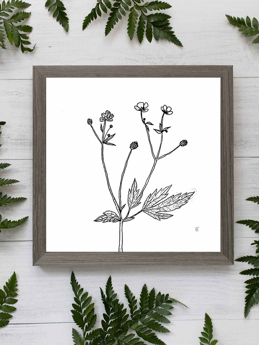 Botanical Bliss Canvas - Wild Flowers product image (8)