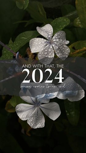 One more fun recap! #sonyalpha #flowerphotographer #botanicalphotography