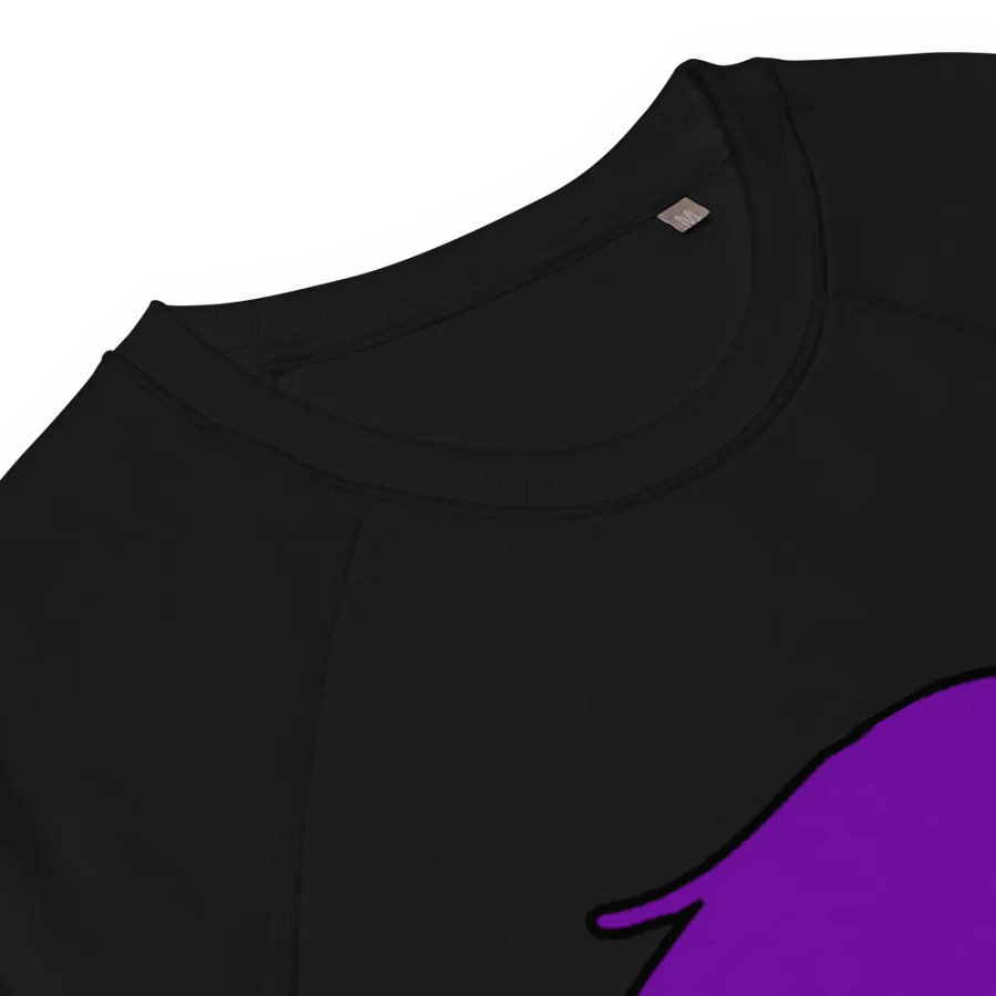 Enigma Nation SOL'S Unisex Organic Raglan Sweatshirt product image (8)
