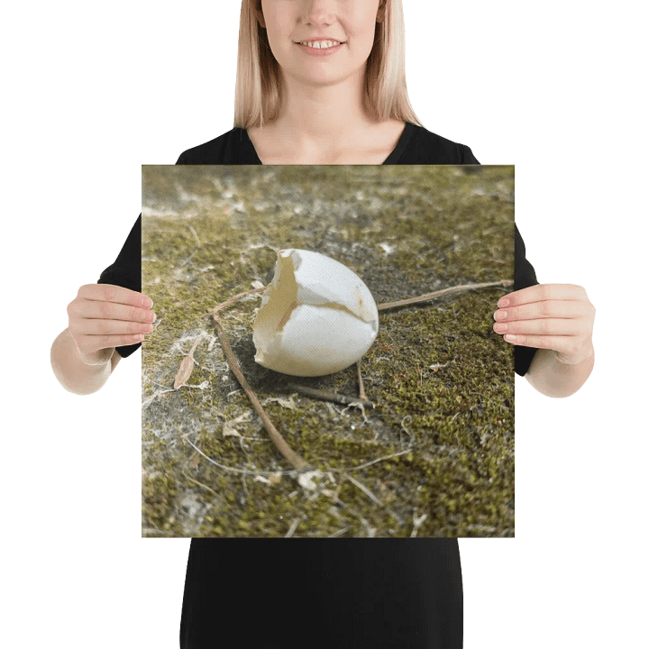 Hatched Egg 16
