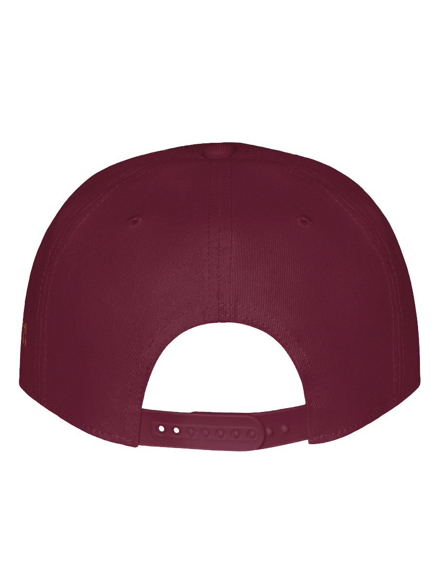 Herrington Hornets Cap - The Faculty product image (4)