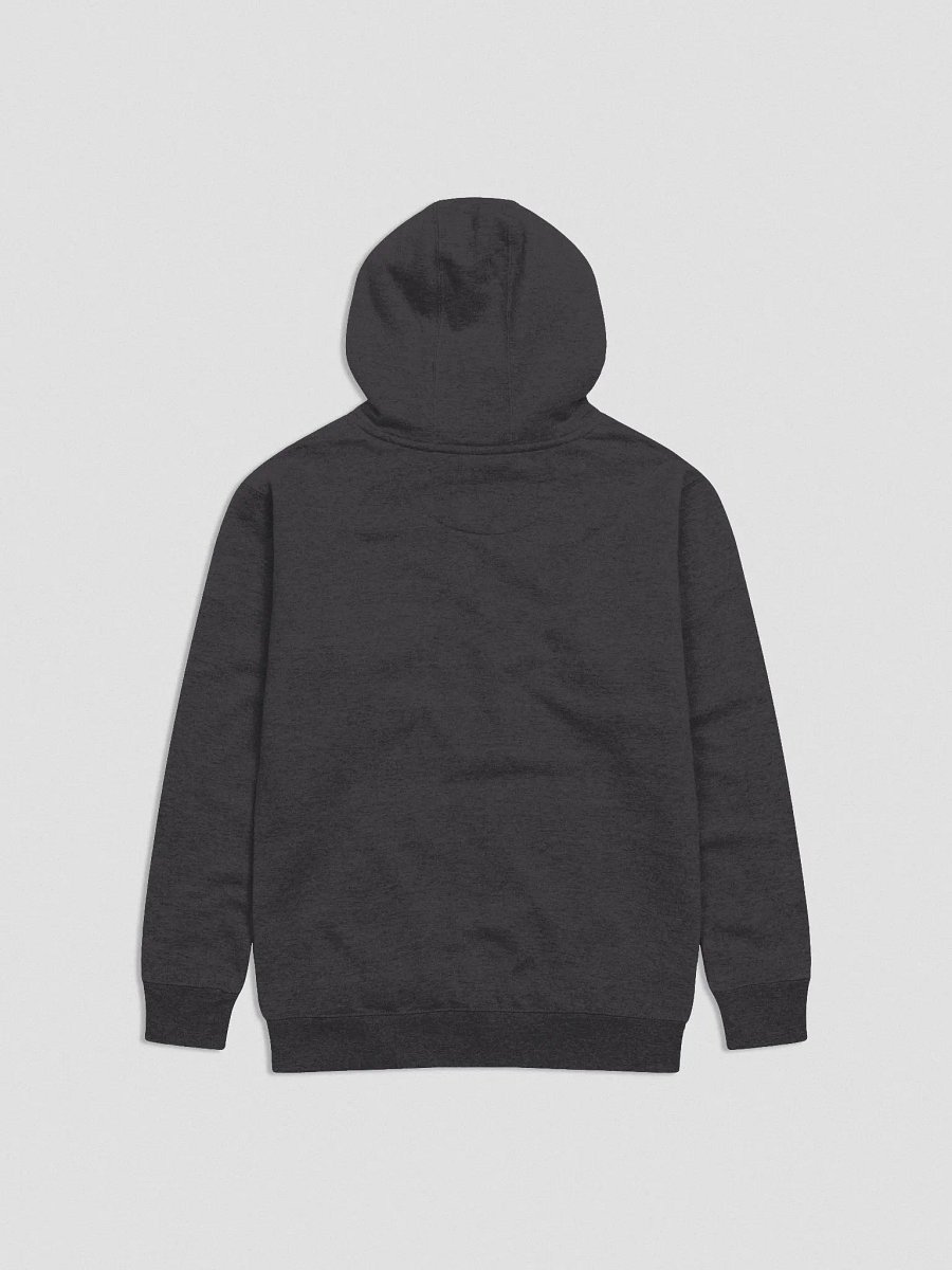 Sonic Squad Hoodie! product image (7)