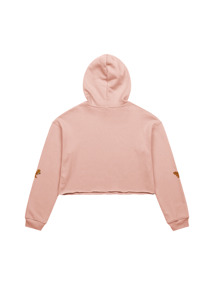 Team K 1970's Crop Hoodie product image (14)