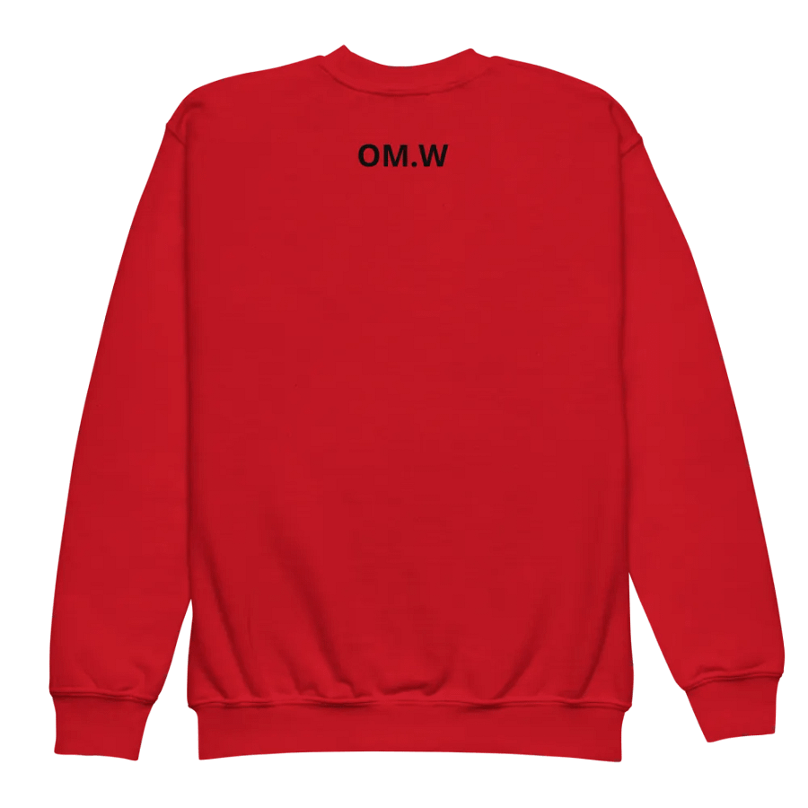 Cool Chip Comfort Youth Sweatshirt product image (35)