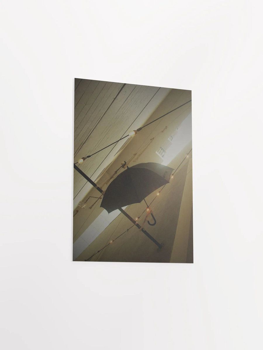 Hanging Umbrella 6 product image (29)