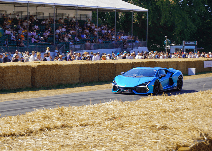 Elegance in Motion product image (1)