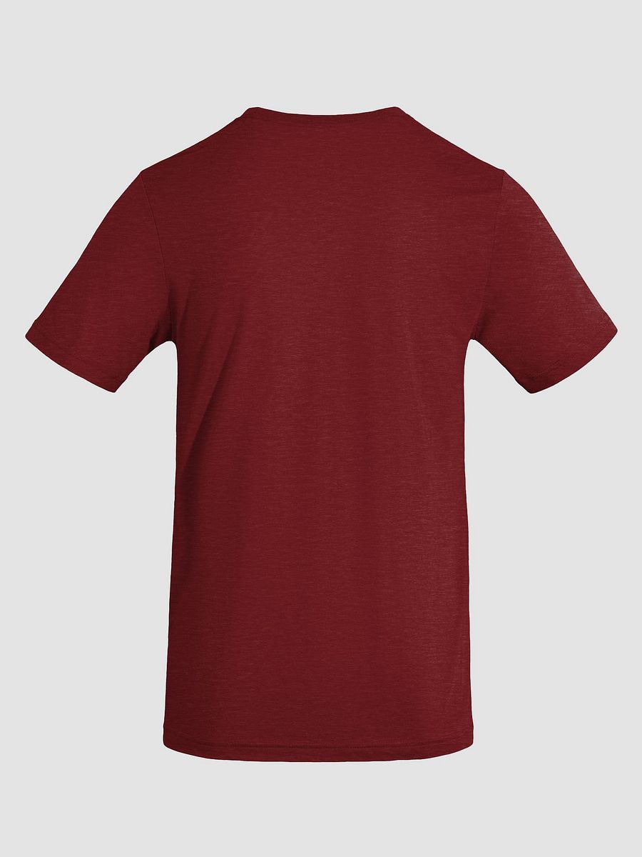 Sunlit Tree Triblend Tee product image (4)