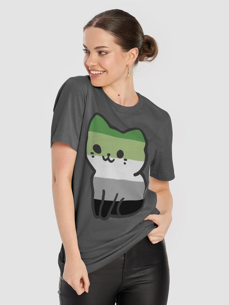 Aromantic Pride Kitty Woman's Shirt product image (84)