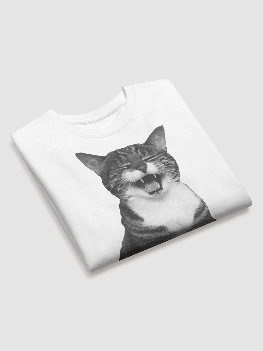 !gattuso Sweater product image (3)