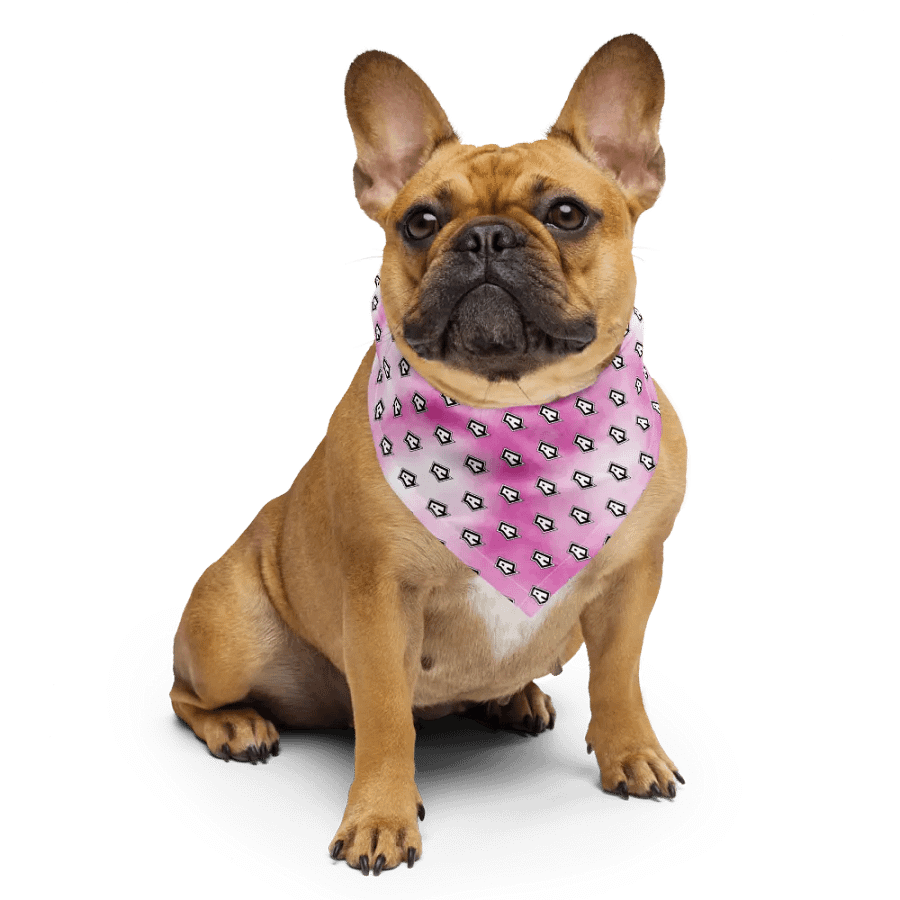 Atriarchy "A" Pink Bandana product image (4)