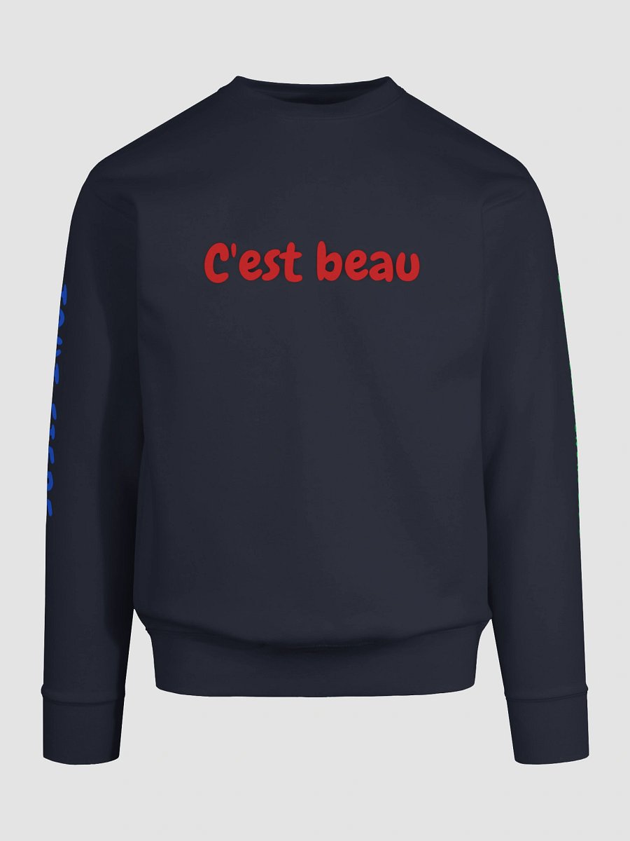 CEST BEAU HOODIE product image (92)