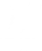 Vidgeo
