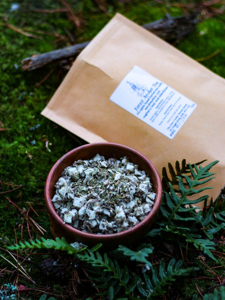 Forest Archer Tea (H) product image (3)