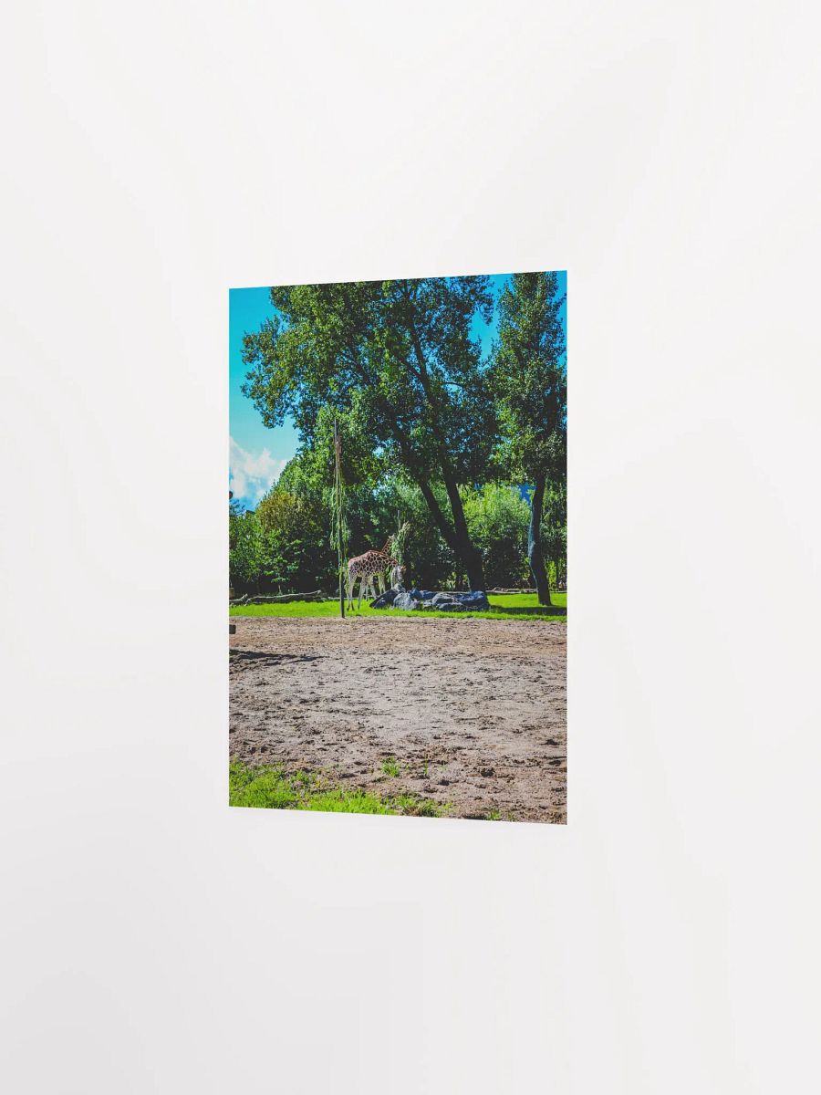 Serenity in the Wild product image (4)