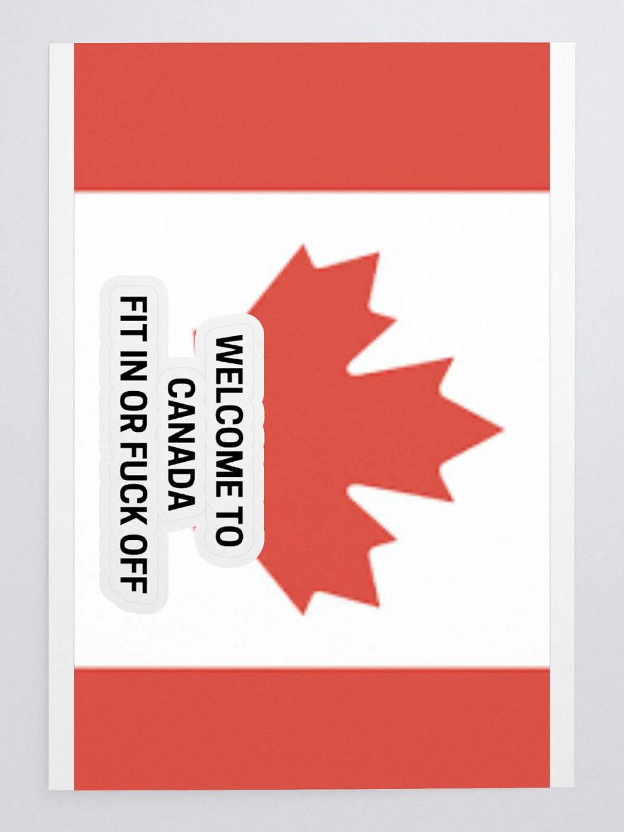 Canadian Pride Sticker Sheet FIT IN OR F*CK OFF product image (3)