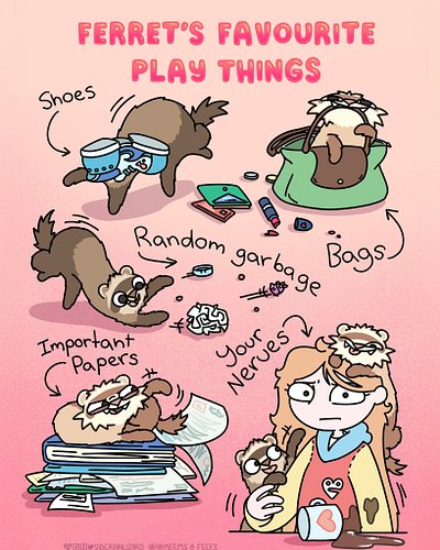 Forget expesive ferret toys balls—ferrets prefer your nerves! 😁
Send this to a someone who is currently theri favourite toy, ...