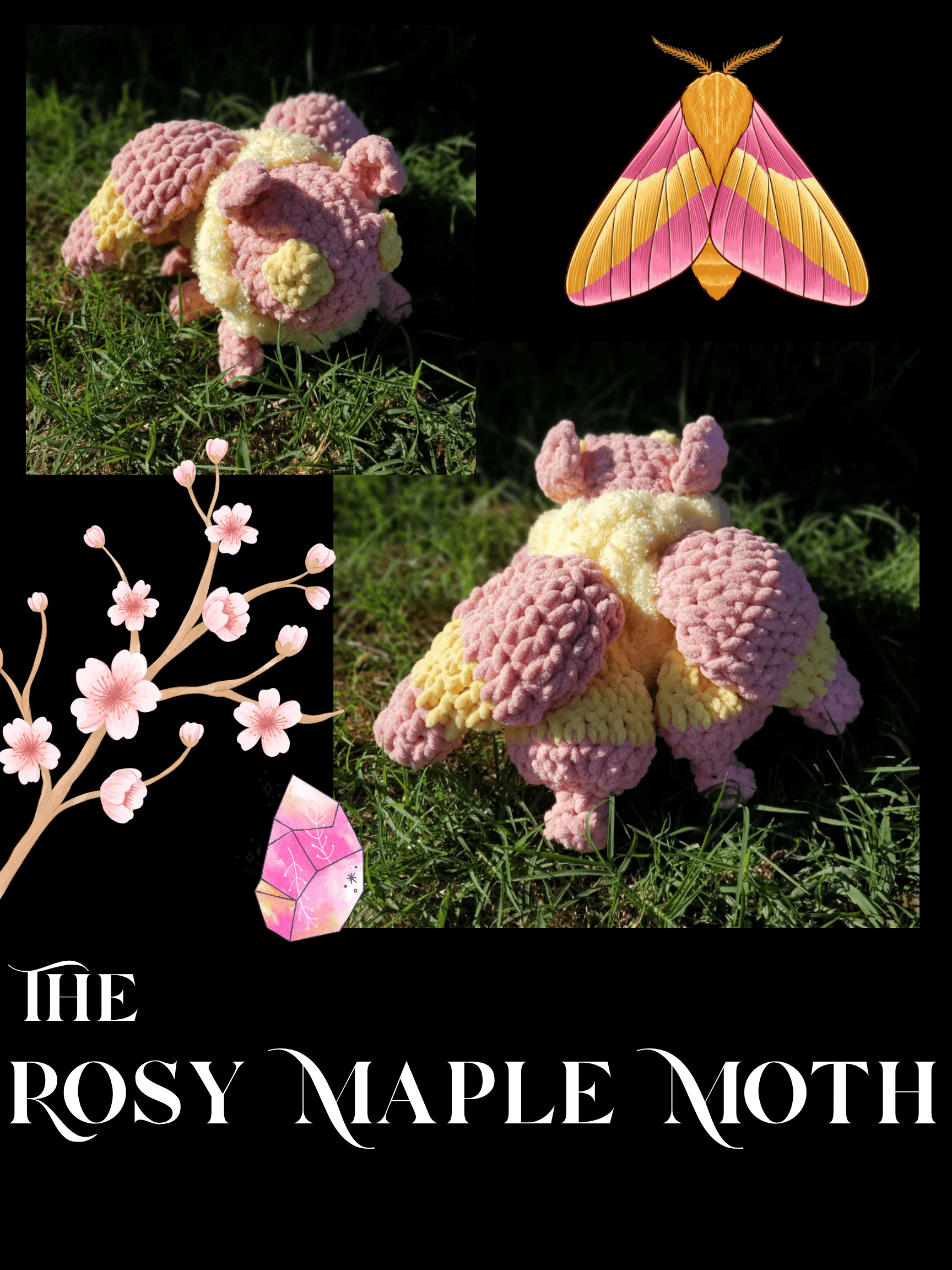 Rosy Maple Moth product image (1)