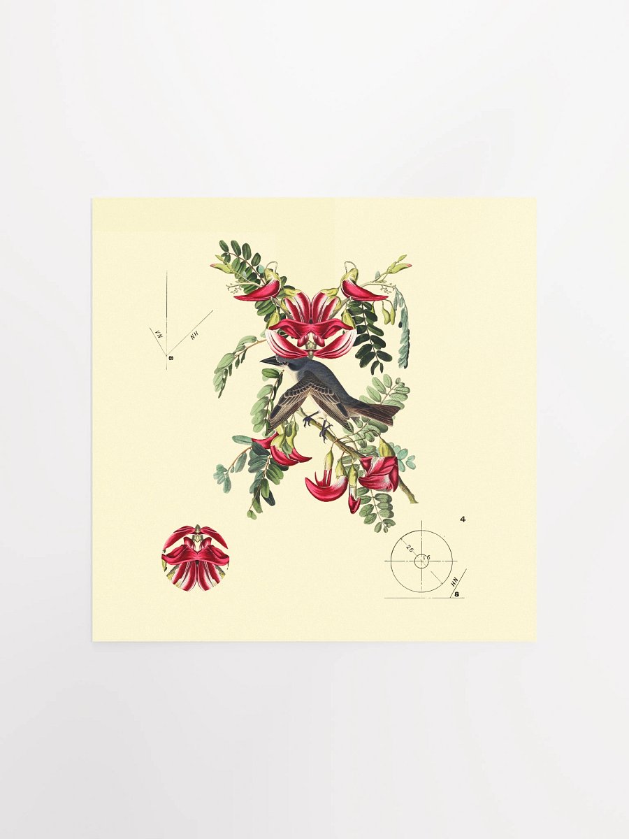 Bird Botanical Dadaism Poster product image (2)