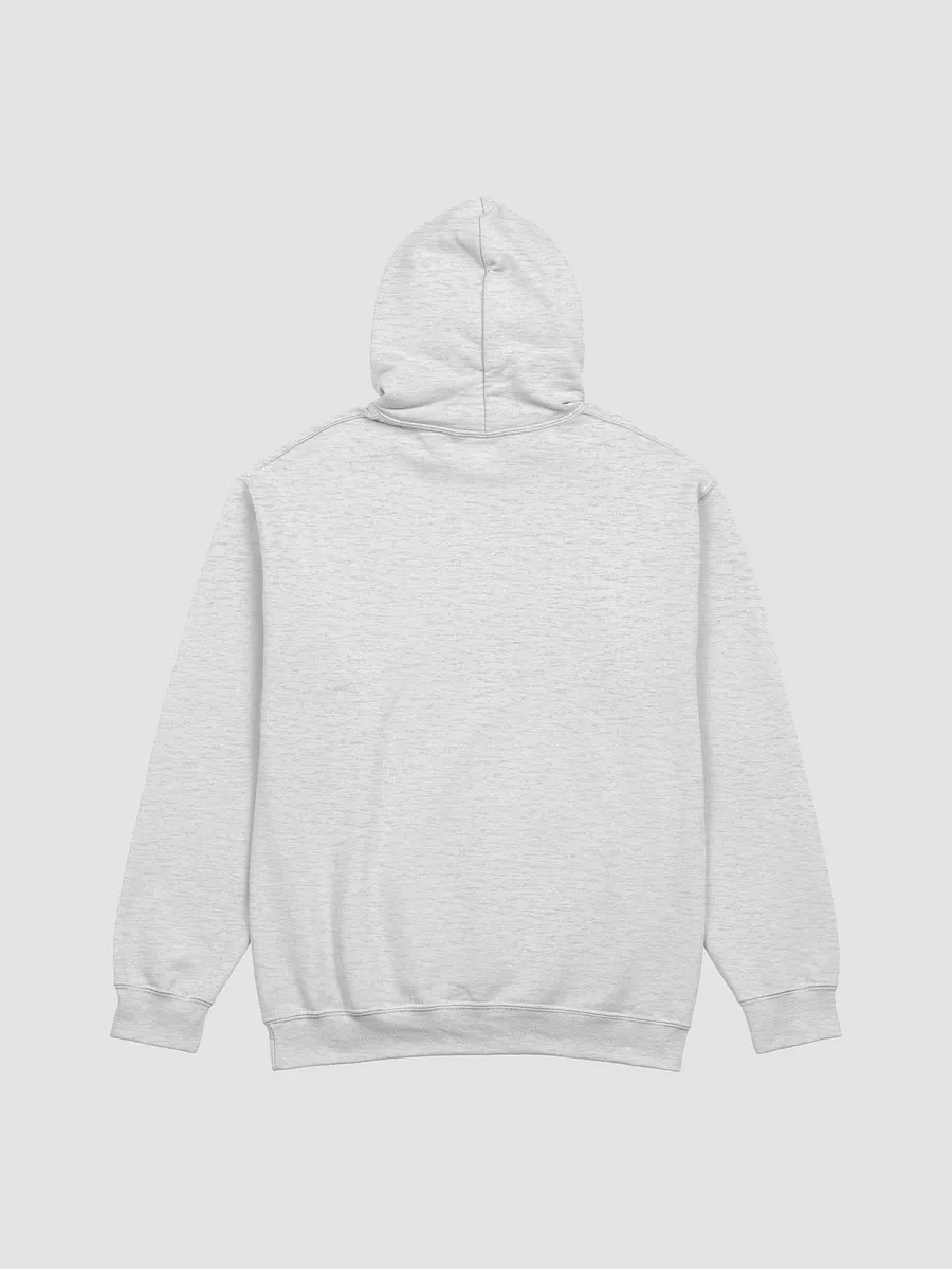 WS Gildan Hoodie product image (21)