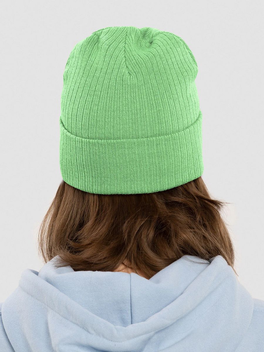 The Minty Crouton Stocking Hat product image (9)