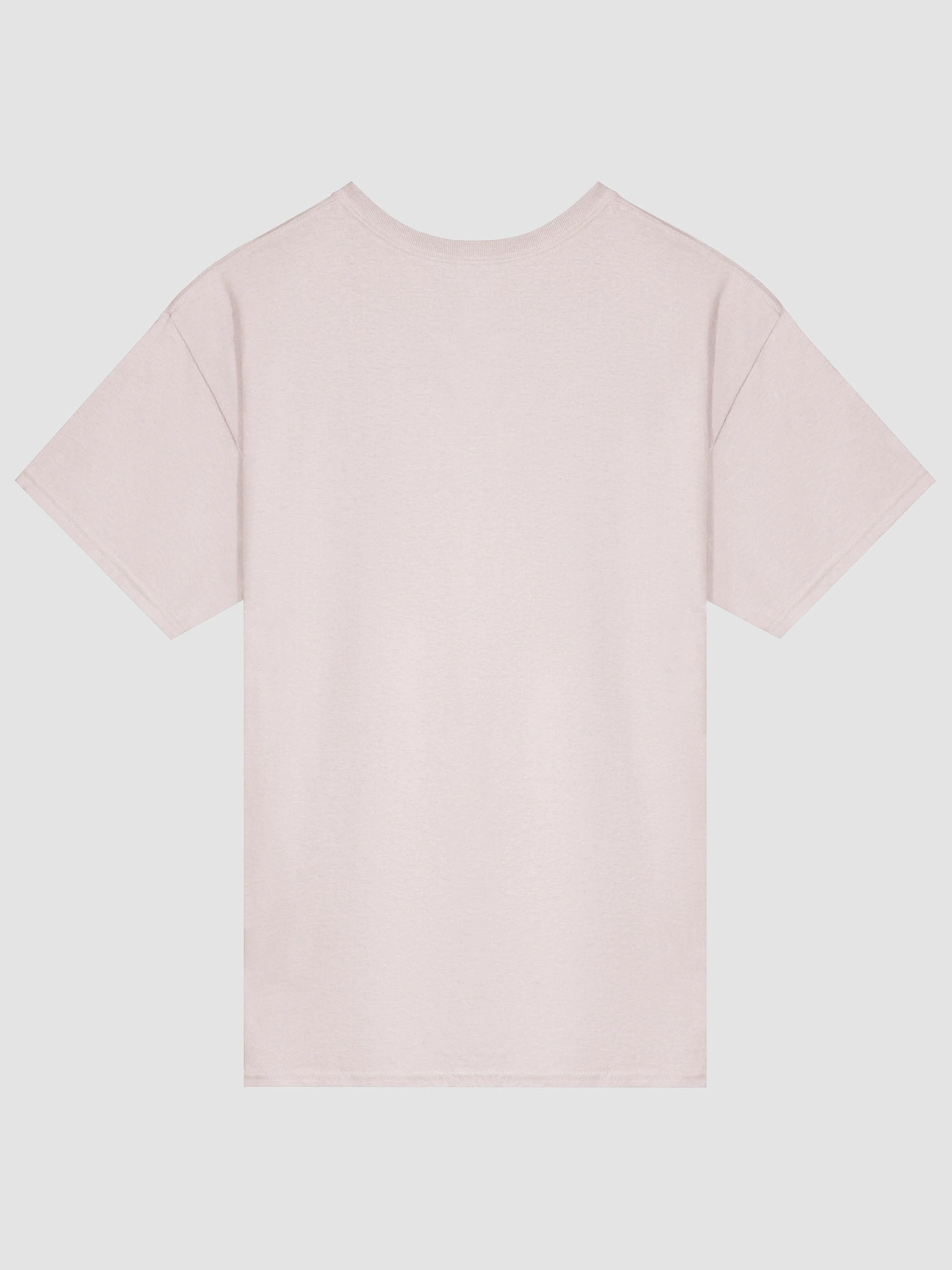 This Sucks - Halloween vampire raccoon t-shirt product image (2)