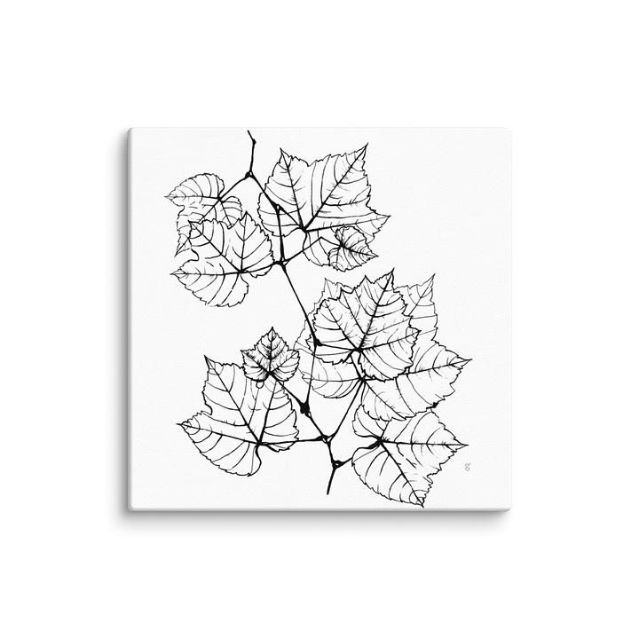 Blank Canvas: Unleash Your Artistic Vision - Grape Leaves Elegant product image (1)