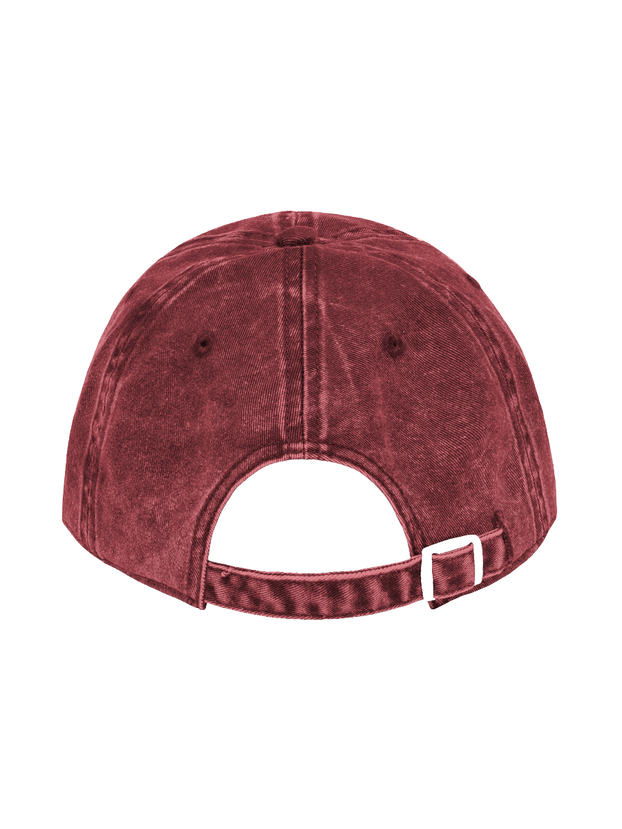 West Palm Breach Dad Cap (Dark) product image (2)