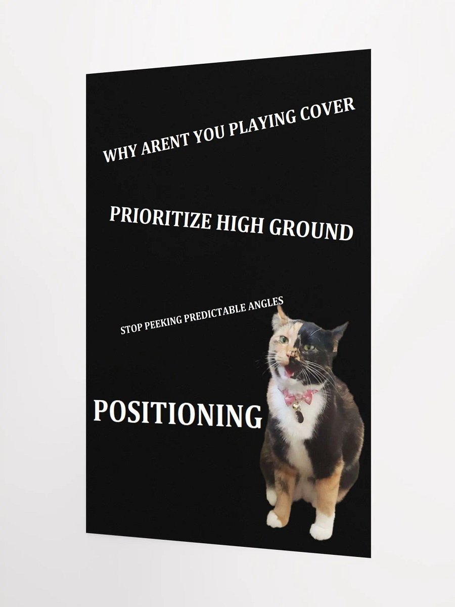Tips from Coach Lyra Poster product image (9)