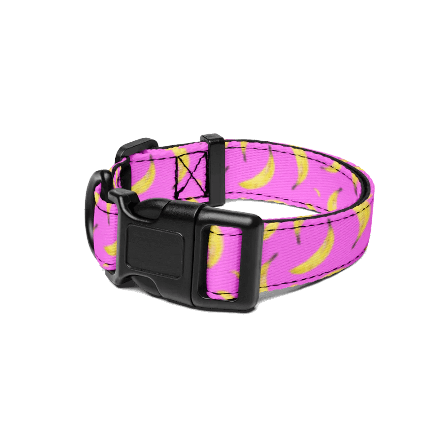 Banana pet collar product image (4)