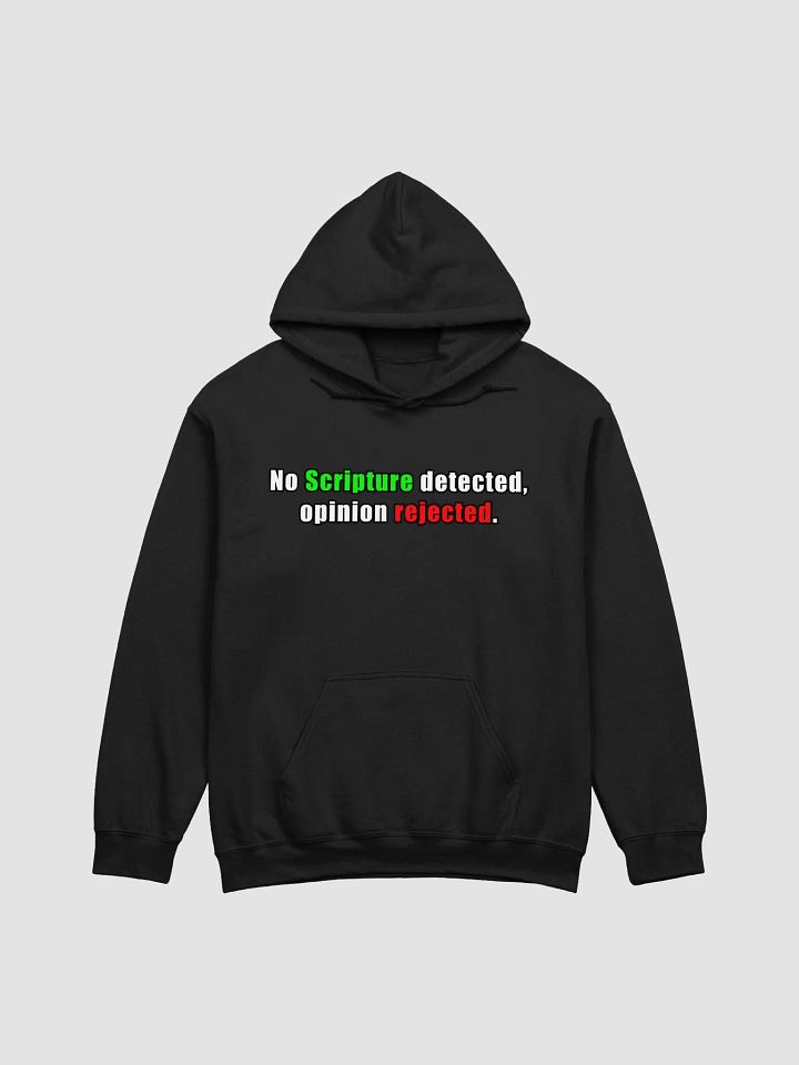 No Scripture Detected Hoodie product image (5)