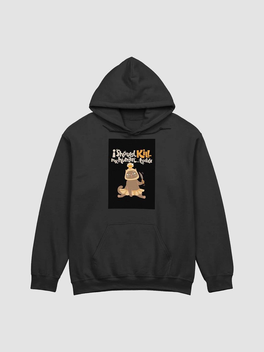 Duck Hat Criminal Cat Hoodie product image (7)
