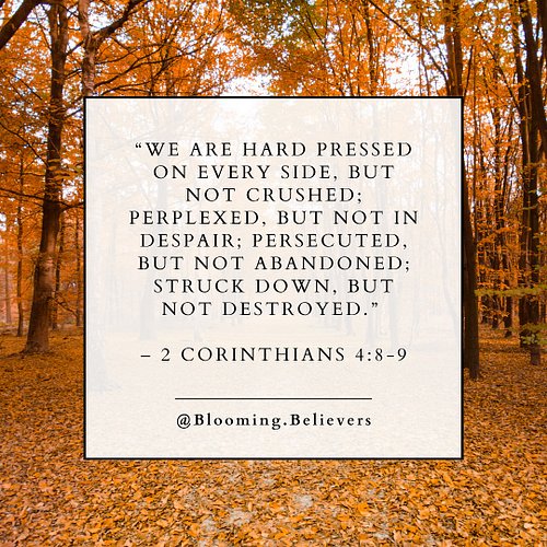 🍂 Life can feel overwhelming at times — pressure coming from every direction, confusion clouding our minds, and battles that ...