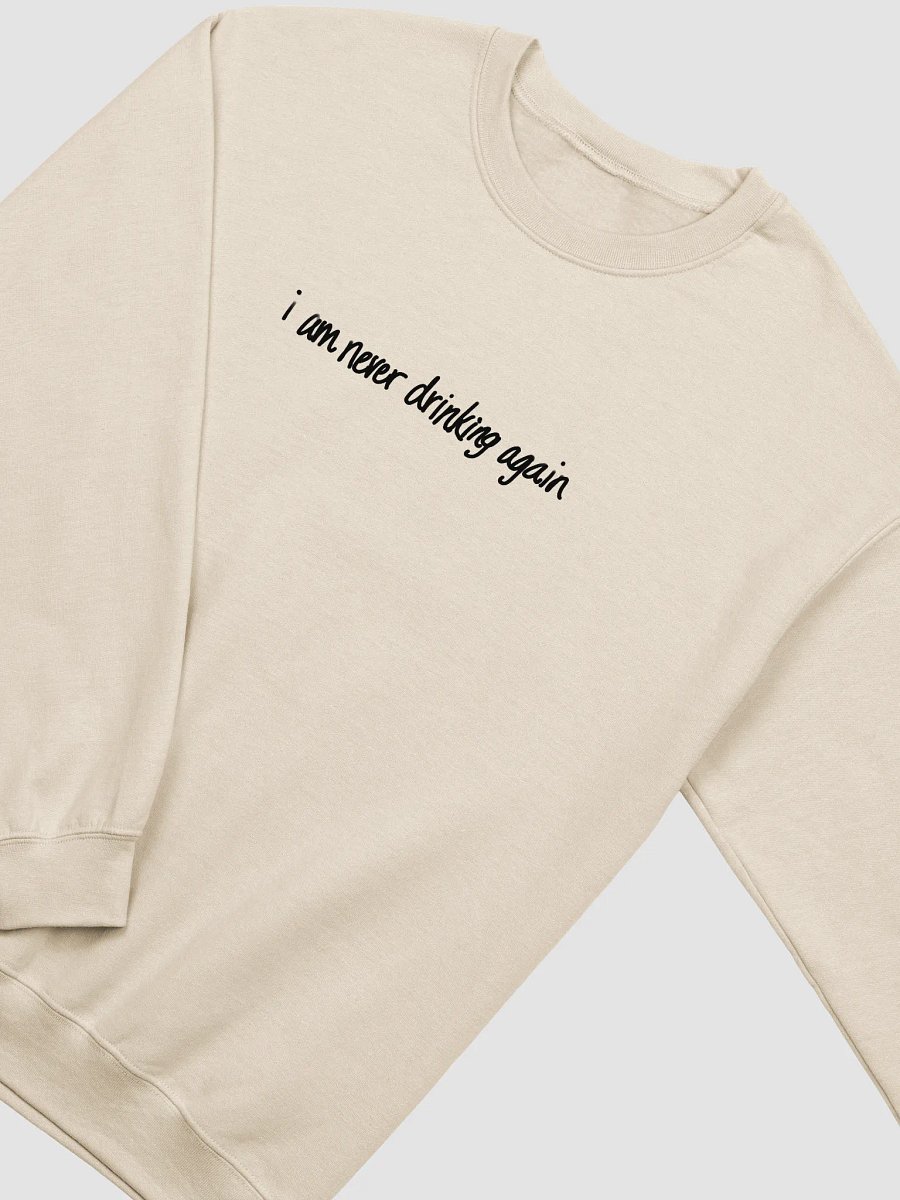 i am never drinking again product image (2)