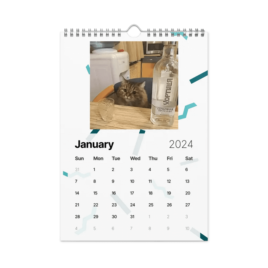 Wall Calendar (2024): Meme Cats product image (8)