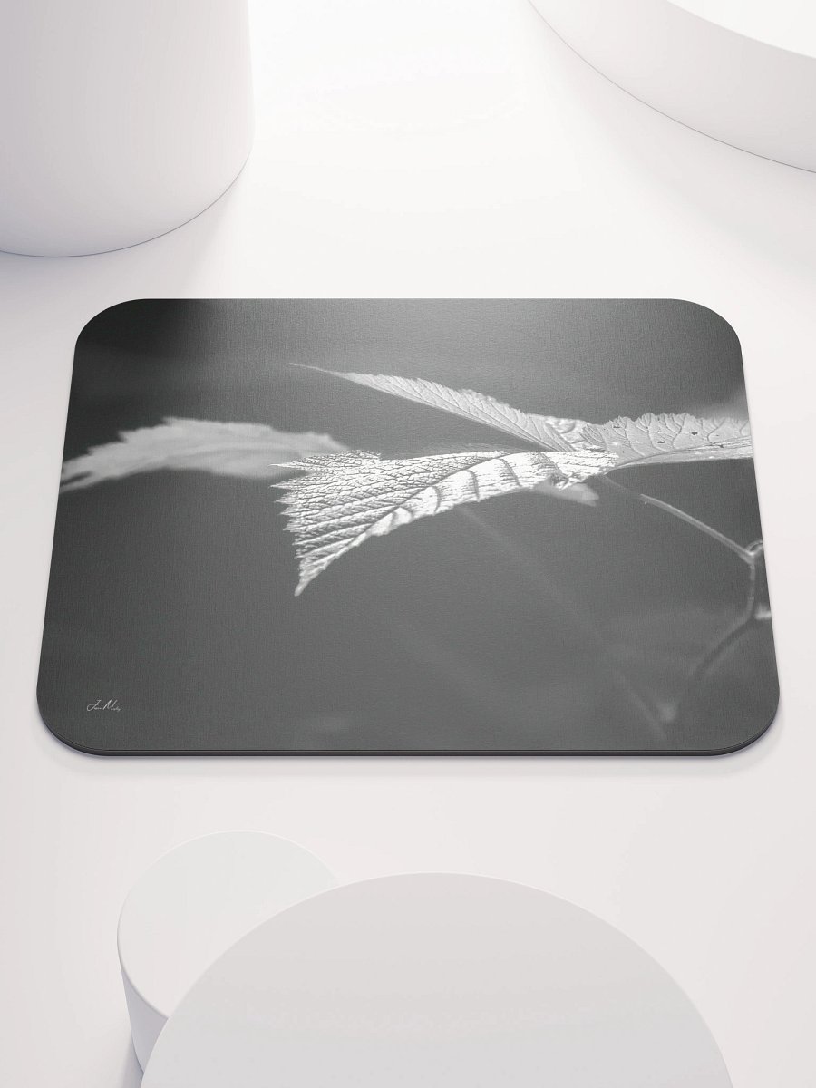 Lower Dungeness Trail Timber sun lighting Mouse Pad product image (1)