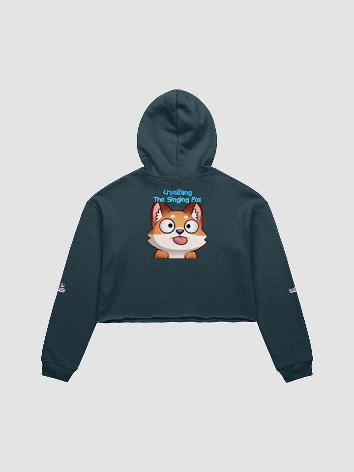 Ladies Hoodie product image (14)