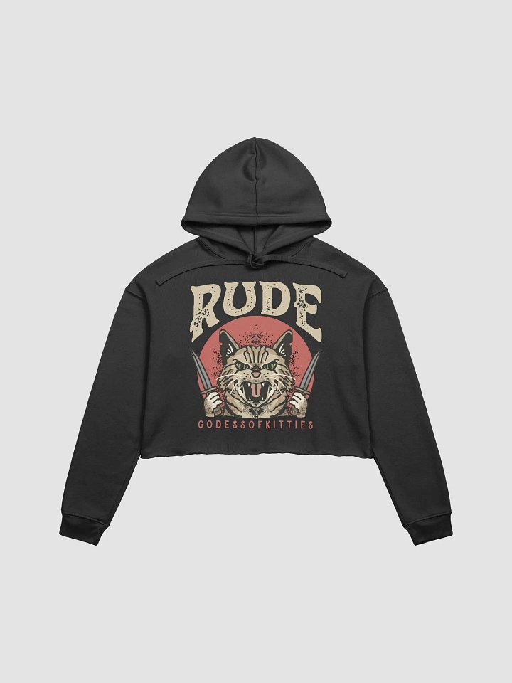Rude Azula Cropped Hoodie product image (1)