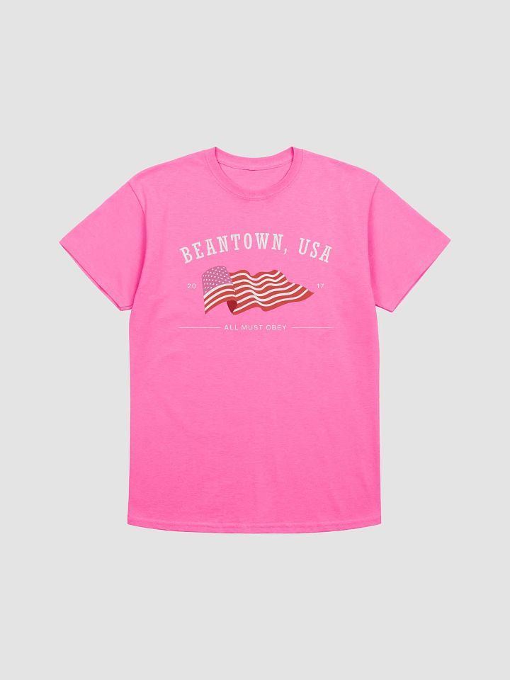beantown, usa tourist shirt product image (3)