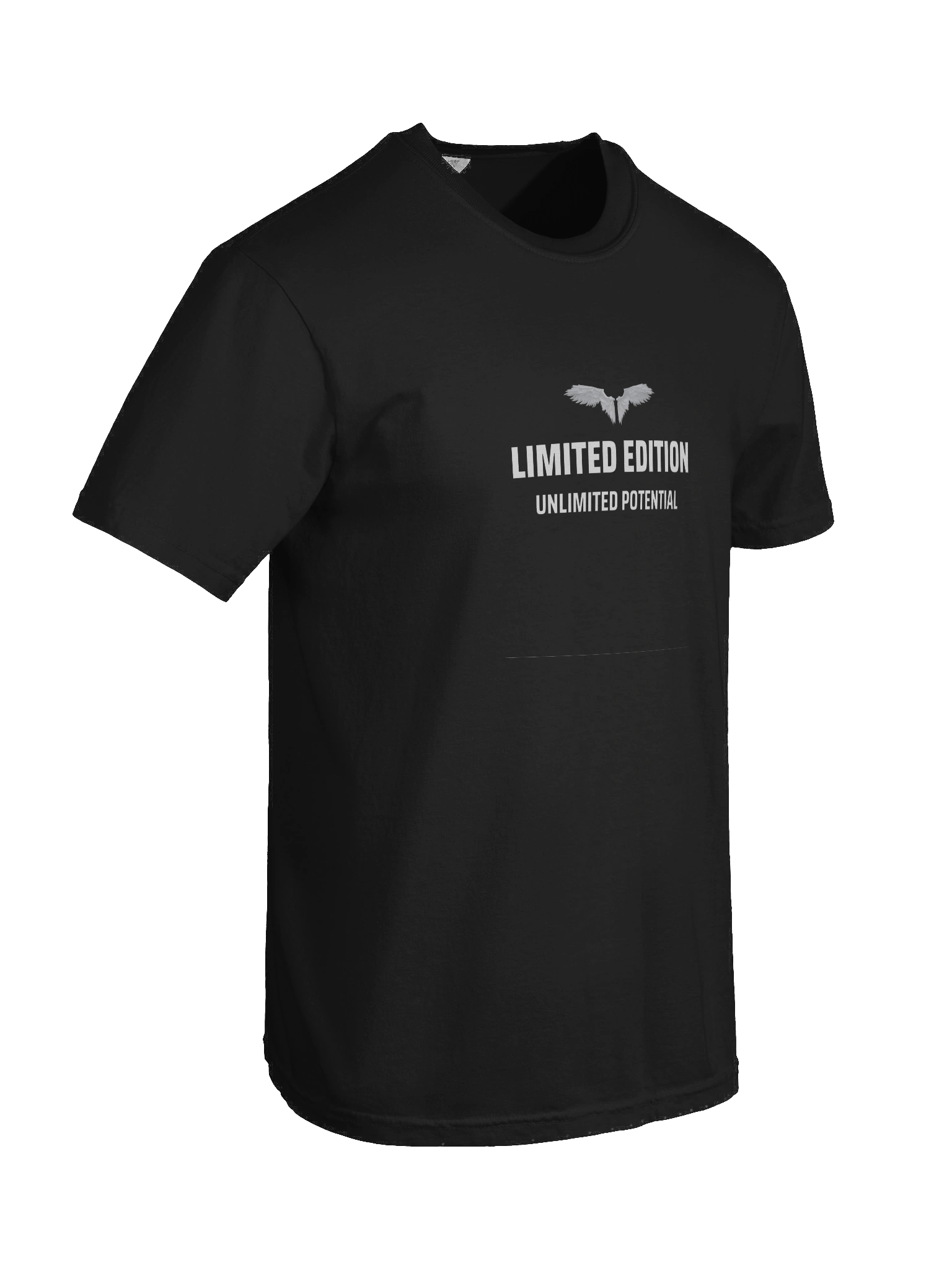 Limited Edition. Unlimited Potential. Relaxed T-shirt product image (8)