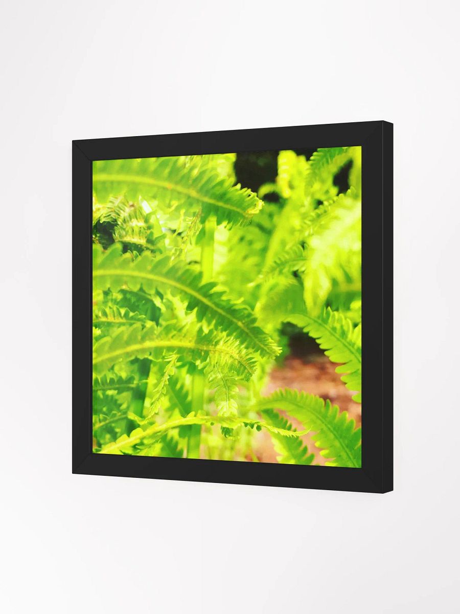 Element 2 product image (2)