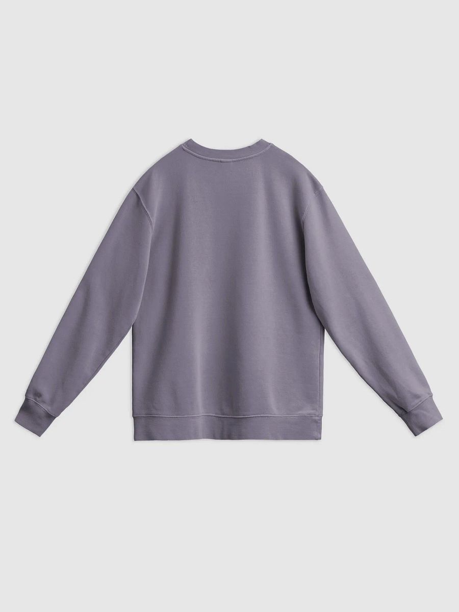 DELIGHTFULLY DIVISIVE (lg. white design) printed pigment crewneck product image (20)