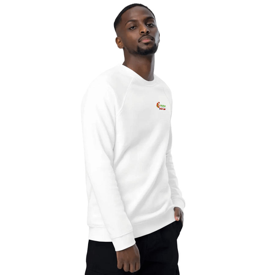 Raw Intuition Watermelon Wisdom Sweatshirt product image (9)